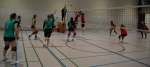 Madrid oder Mönsheim, Hauptsache Volleyball
